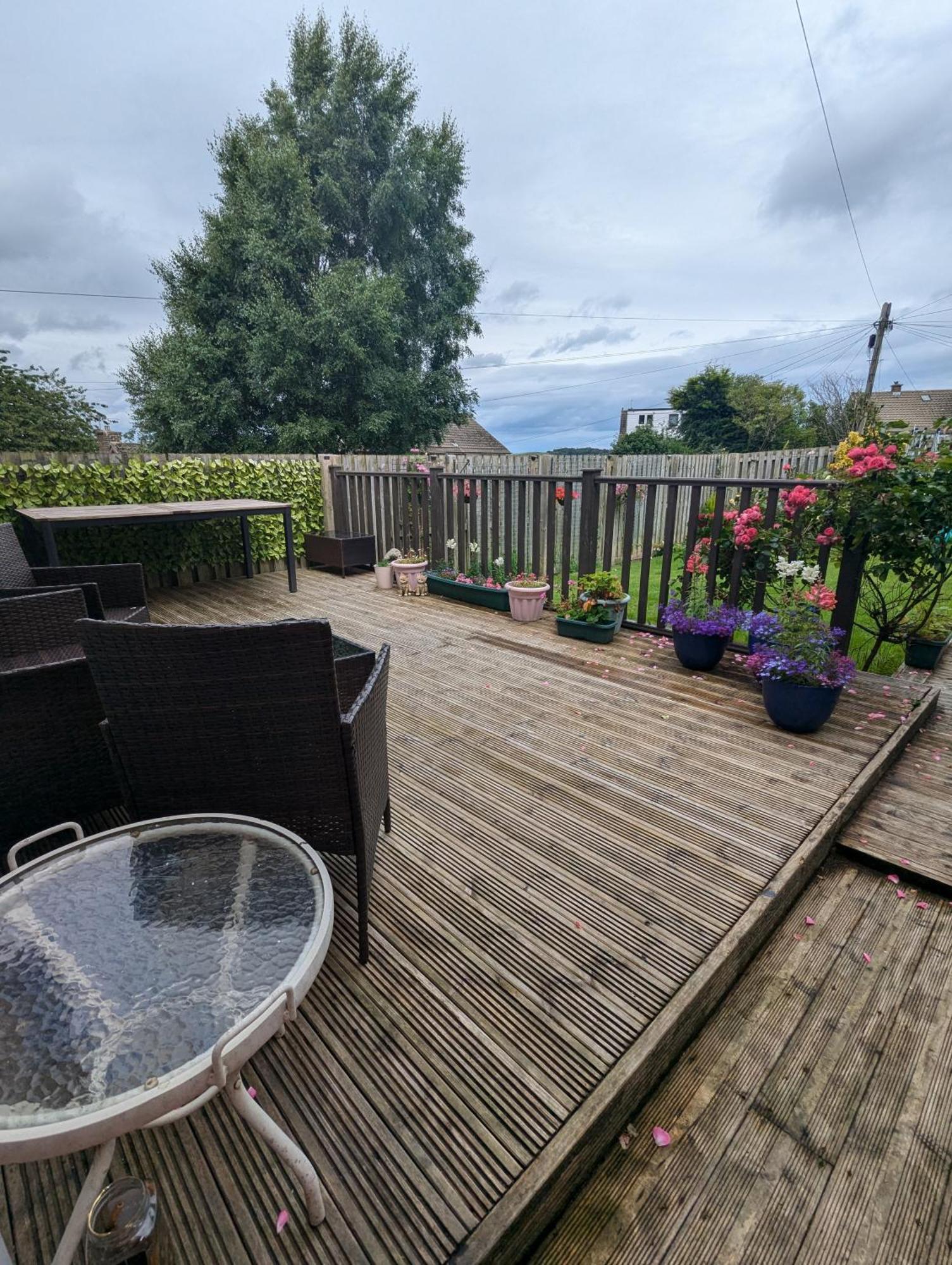 Single Room With Beautiful Garden Edinburgh Bagian luar foto